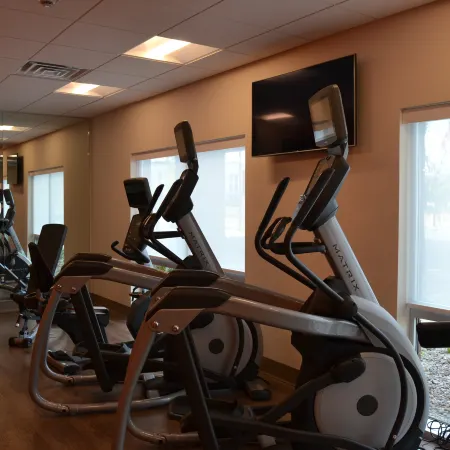 Holiday Inn Express & Suites GOODLETTSVILLE N - NASHVILLE by IHG