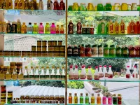 Poppys Pleasant Stay