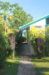 The Pointe Taveuni Hotels in Matei