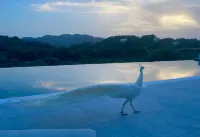 Ano Kampos Hotel - Ocean View