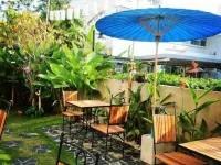 The Signature Hotel @ Thapae Hotels near Elephant Jungle Sanctuary Chiangmai