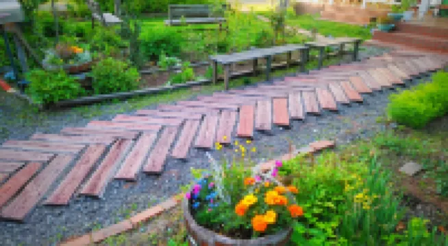 棉尾兔小屋酒店