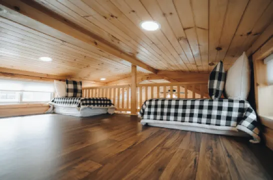 Blue Buffalo Resort Hotels in 