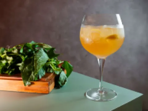 이비스 스타일스 벨렘 두 파라