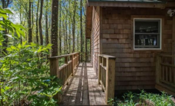 Cozy Guest Cabin Pet Friendly Secluded Peaceful