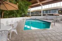 Wyndham Garden Romulus Detroit Metro Airport - Pools