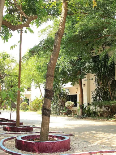 รูปภาพของChayada Garden House & Resort Hotel(ชญาดา รีสอร์ท)