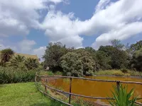 Made of Africa, 18 km from OR Tambo, Pax 8 - Hot Tub