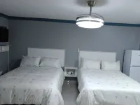 Crompton Studio Apartment 786