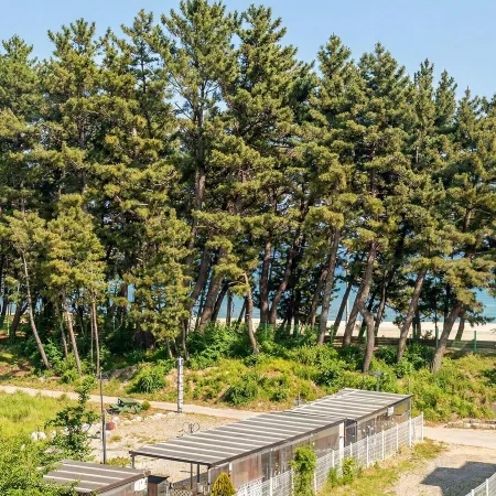 Samcheok Lamer Pension