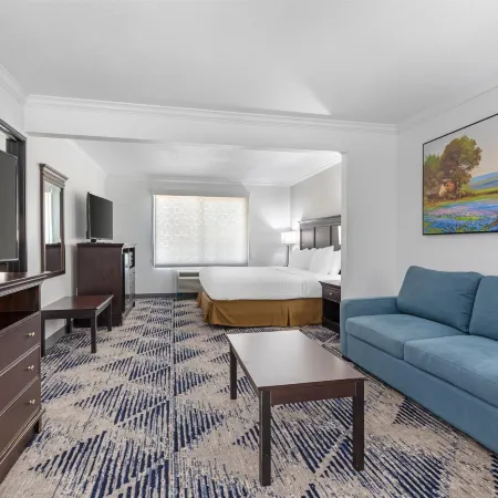 Best Western Plus Southpark Inn Suites