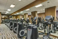 Loews Chicago O'Hare Hotel - Træningscentre