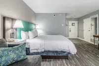 Hampton Inn Youngstown-North - Pools