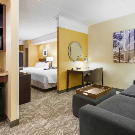 SpringHill Suites Wheeling Triadelphia Area