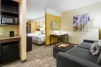 SpringHill Suites Wheeling Triadelphia Area - parking