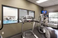 Hampton Inn & Suites Dallas-DFW Airport N/Grapevine - Træningscentre