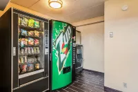 Red Roof Inn Columbia, MO - 2-Star