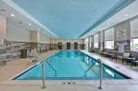 Embassy Suites by Hilton Plainfield Indianapolis Airport - Pool