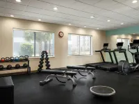 Tru by Hilton Lake Charles - جاكوزي