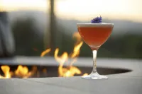 Archer Hotel Napa - bar