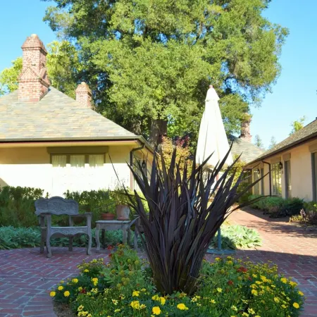 Vineyard Country Inn