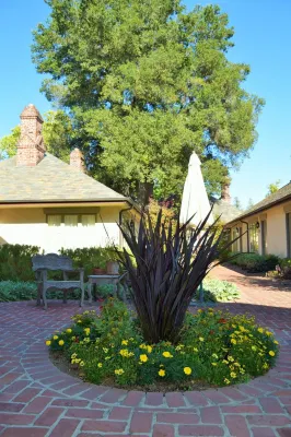 Vineyard Country Inn - 3-Star