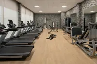 Fairfield Inn by Marriott Inn & Suites Anaheim Theme Park/Convention Area - Gym