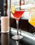 Plaza Blumenau Hotel - bar