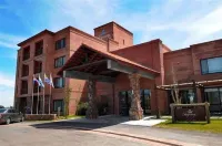 Regency Park Hotel Hotels in 