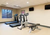 Holiday Inn Express & Suites WALTERBORO I-95 by IHG - Gym