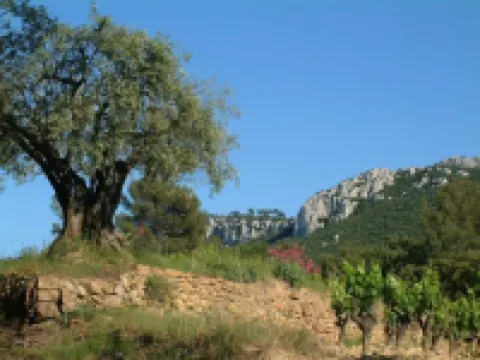Family Apartment, 2-8 People, in Provence Mas 16th Cent., Pool, Garden, Parking - Homestays