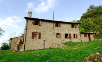 A Stay Surrounded by Greenery - Agriturismo la Piaggia -App 3 Guests