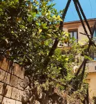 Accademia 39