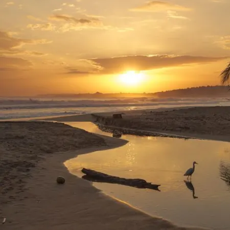 Ocean and Rainforest Panoramic Views Jaco 3 Bdrm with Pool