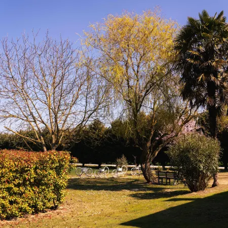 Il Giardino di Rebecca