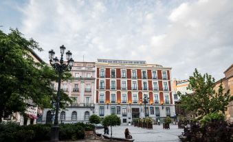 Intelier Palacio San Martin