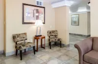Quality Inn Chicopee-Springfield Hotels in Wilbraham
