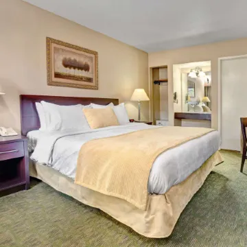 Travelodge by Wyndham Presidio San Francisco Отели рядом с достопримечательностью «Золотые Ворота»