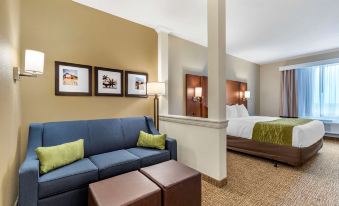 Comfort Suites San Antonio Ft Sam Houston-Sammc Area