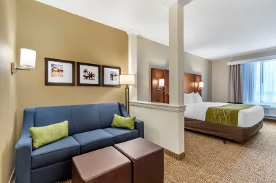 Comfort Suites San Antonio Ft Sam Houston-Sammc Area Hotels in San Antonio