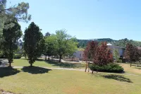 Hotel Marvin