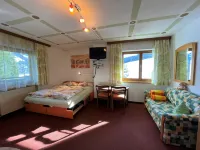 Karwendel Hotels in Wildschoenau