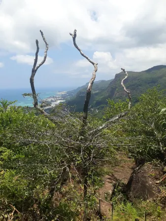 Casadani Hotel Отели в г. Пор Гло