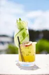 St Moritz Hotel and Cowshed Spa - bar