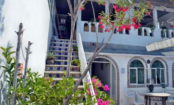 Alexandross Hostel Bnb