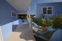 The Mermaid's Tail
