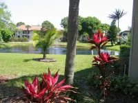 Shorewalk Vacation Villa Hotel in zona Dancing Crane Gallery
