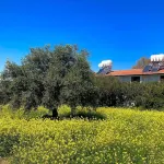 Bare Hill Holiday Village Hôtels à : Karavás