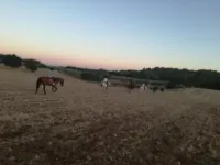 Agriturismo Fasano Hotel a Cassano delle Murge