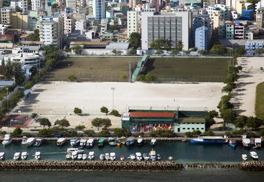 3. 레몬락 컴포트..